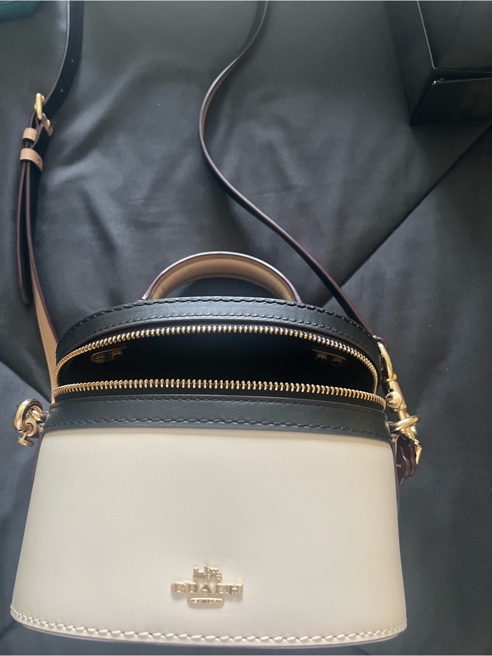 Coach Leather Mini Dome Crossbody in Cream and Black
